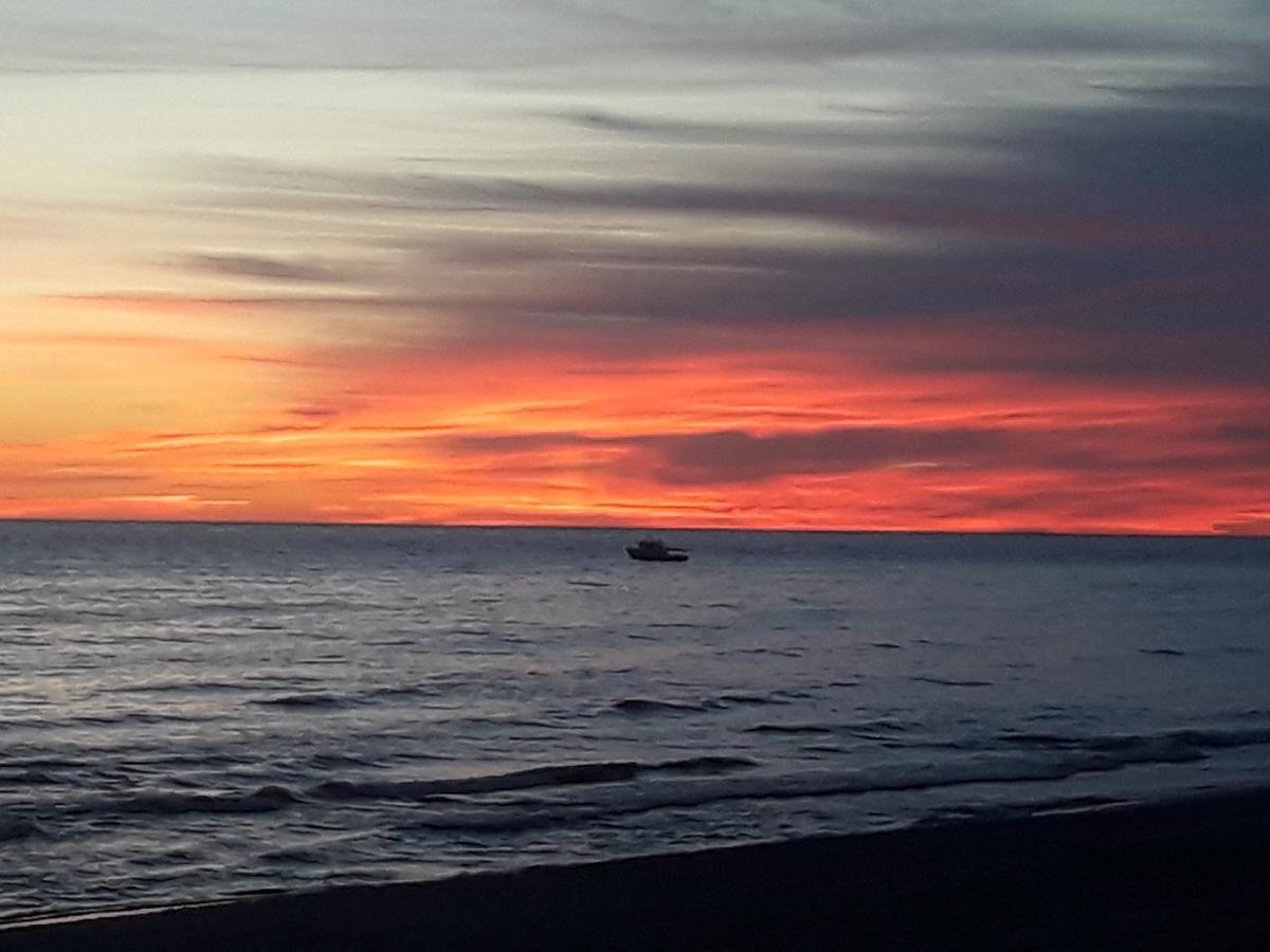 Su Terasa Jaukus Apartamentas, Tik Vienas Palanga Kültér fotó